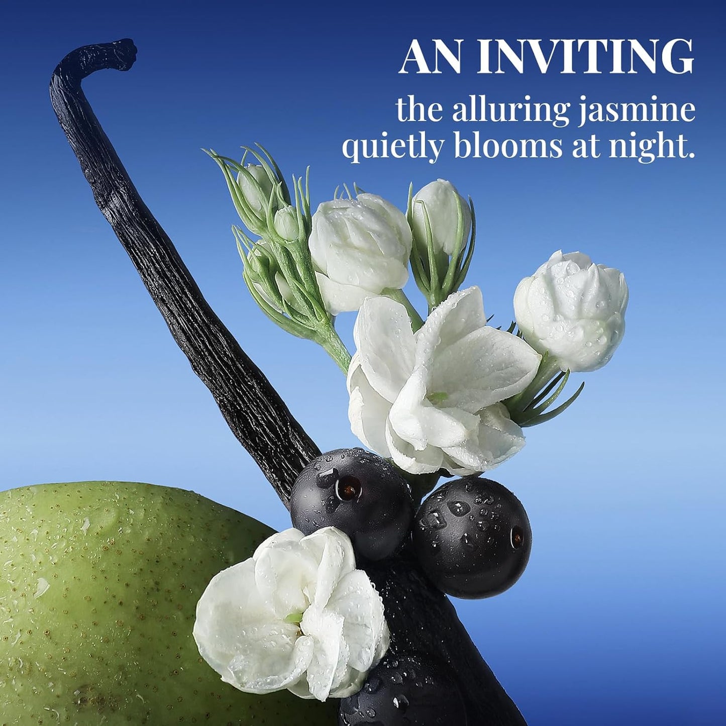 Sttes Perfume 06# (Original 706) – Perfume for Women – Long-Lasting Hair Black Currant, Jasmine & Vanilla Notes – Elegant Scentual Fragrance Eau de Parfum 100ml (3.4 fl oz) – Midnight Jasmine