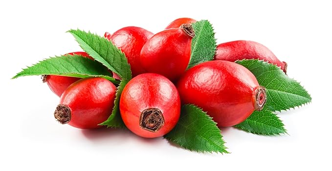 HAIRMETTO Organic Facial Oil Blend, Rosehip, Jojoba, Argan & Evening Primrose, Hydrating & Anti-Aging, Lightweight Non-Greasy Oil for Dry Skin, 30 mL