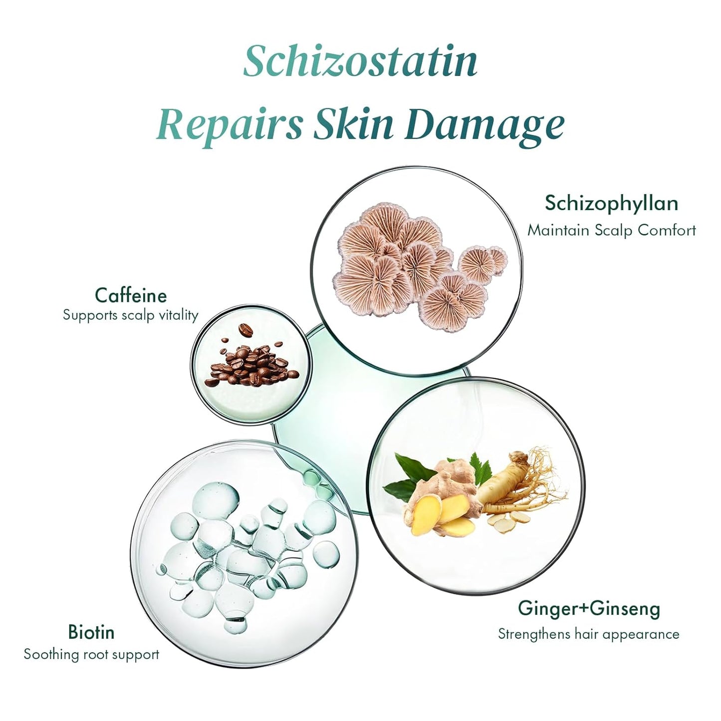 ALFHEIM Saw Palmetto Scalp Serum for Boost Follicle - Infused With Caffeine, Biotin for Thicker Hair - Balance Scalp, Rejuvenate Hair Follicles ＆ Improve Hair Density - 1.69 fl oz + Serum Applicator