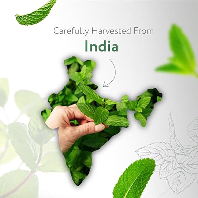 HBNO Spearmint Essential Oil - Huge 4 oz (120ml) Value Size - Natural Spearmint Oil - Perfect for Cleaning, Aromatherapy, DIY, Soap & Diffuser - Spearmint Essential Oils