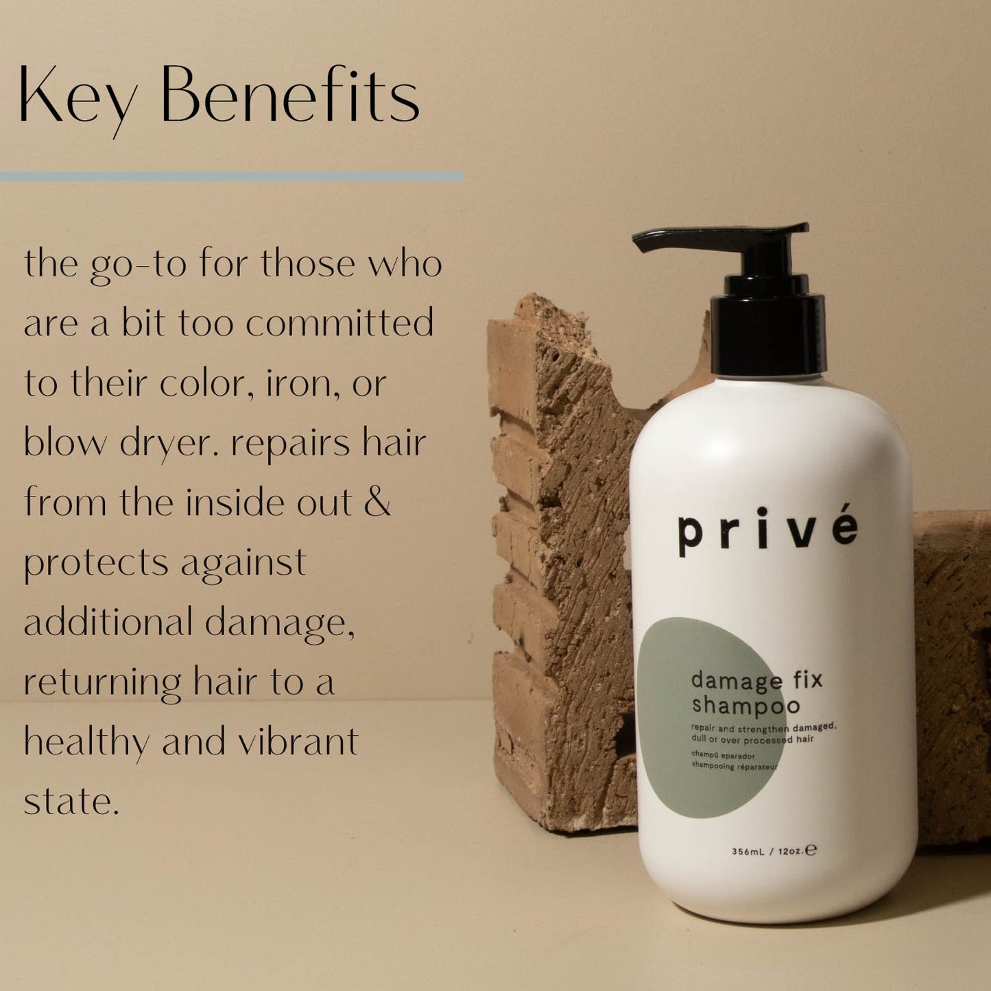 Privé Damage Fix Hair Shampoo for Women & Men - Sulfate-Free Repair Shampoo for Damaged Hair - Strengthening & Moisturizing Formula for Dry, Dull & Over-Processed Strands (12 oz)