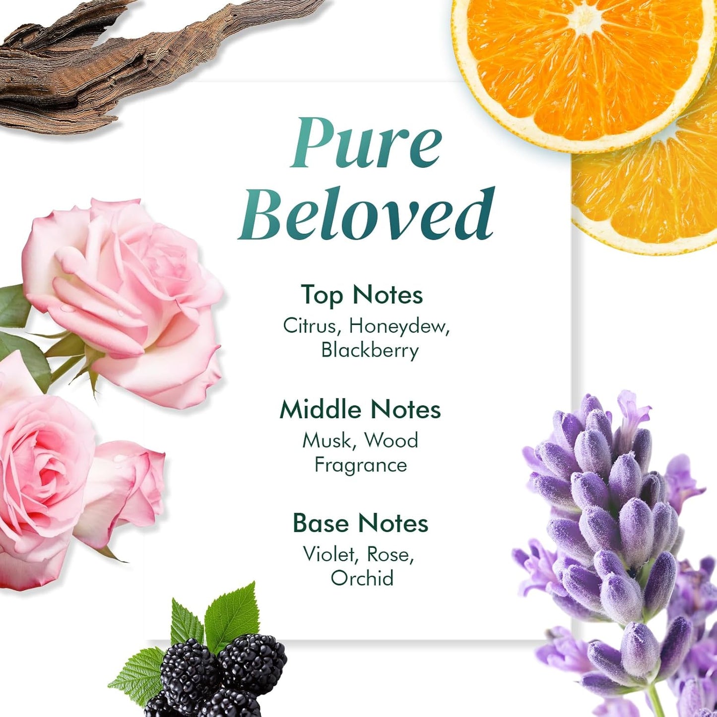 ALFHEIM Saw Palmetto Scalp Serum for Boost Follicle - Infused With Caffeine, Biotin for Thicker Hair - Balance Scalp, Rejuvenate Hair Follicles ＆ Improve Hair Density - 1.69 fl oz + Serum Applicator