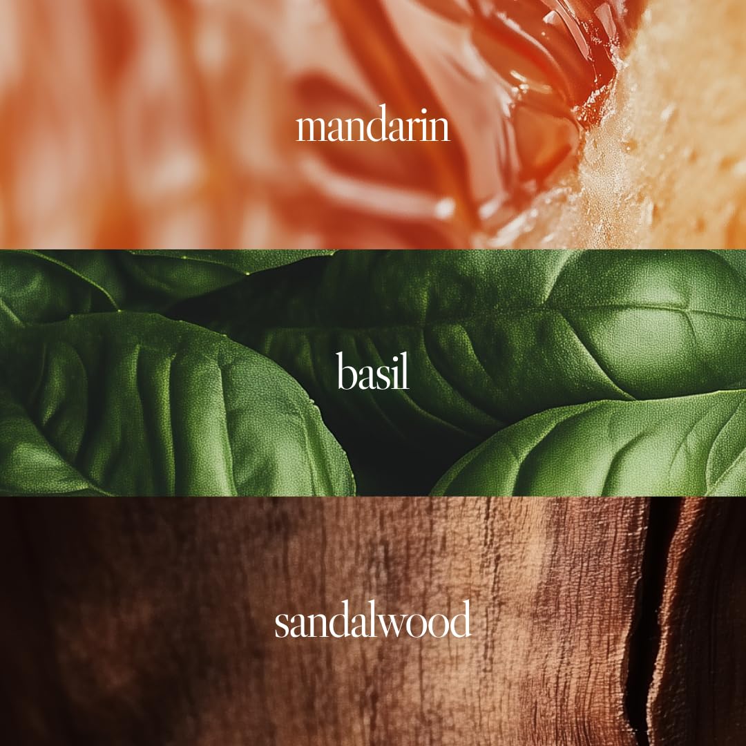 Noteworthy n,307 Eternal Sunsine Eau De Parfum – Mandarin, Basil, Sandalwood | Long-lasting Unisex Perfume for Women & Men (Travel)