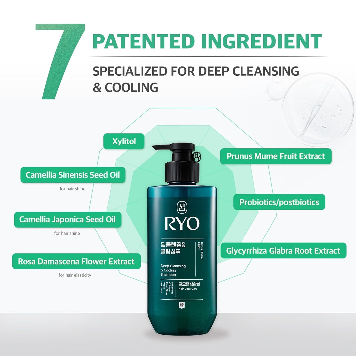 RYO Deep Cleansing Shampoo with Korean Ginseng & Caffeine - Cooling and Refreshing for Oily Scalp, Hair Loss Care, Anti-Dandruff, Sebum Control, 16 Fl Oz.