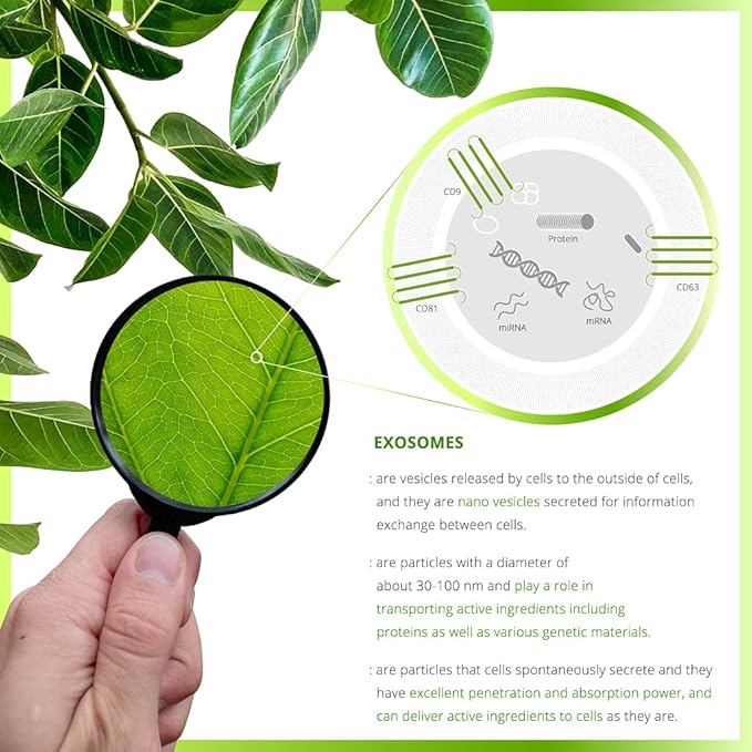 Exosome Toner, Clarifying&Moisturizing, Ginseng Tree Exosome, Quick-Absorbing, Vegan, All Skin Types, 4.05 Fl Oz