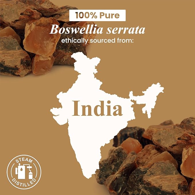 Handcraft Blends Frankincense Essential Oil - Huge 4 Fl Oz - 100% Pure and Natural - Premium Grade Essential Oil for Diffuser and Aromatherapy