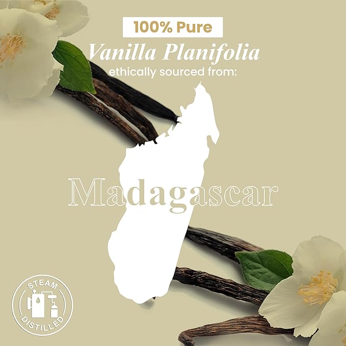 Handcraft Blends Vanilla Essential Oil - 1 Fl Oz - 100% Pure and Natural - Premium Grade Essential Oil for Diffuser and Aromatherapy