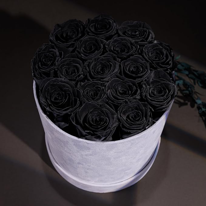17 Flowers in a Luxury Suede Box, Birthday Gifts for Women, Preserved Flowers, Mothers Day Roses Gift for Mom, Black