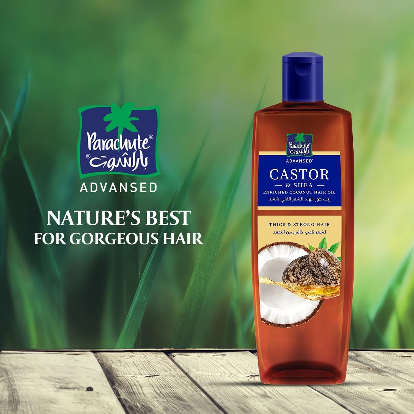 Parachute Advansed Shea Hair Oil| Moisturising Hair Oil |Nourishes Hair| For Frizz- Free, Soft & Shiny Hair| No Silicones & Parabens |6.7 fl.oz