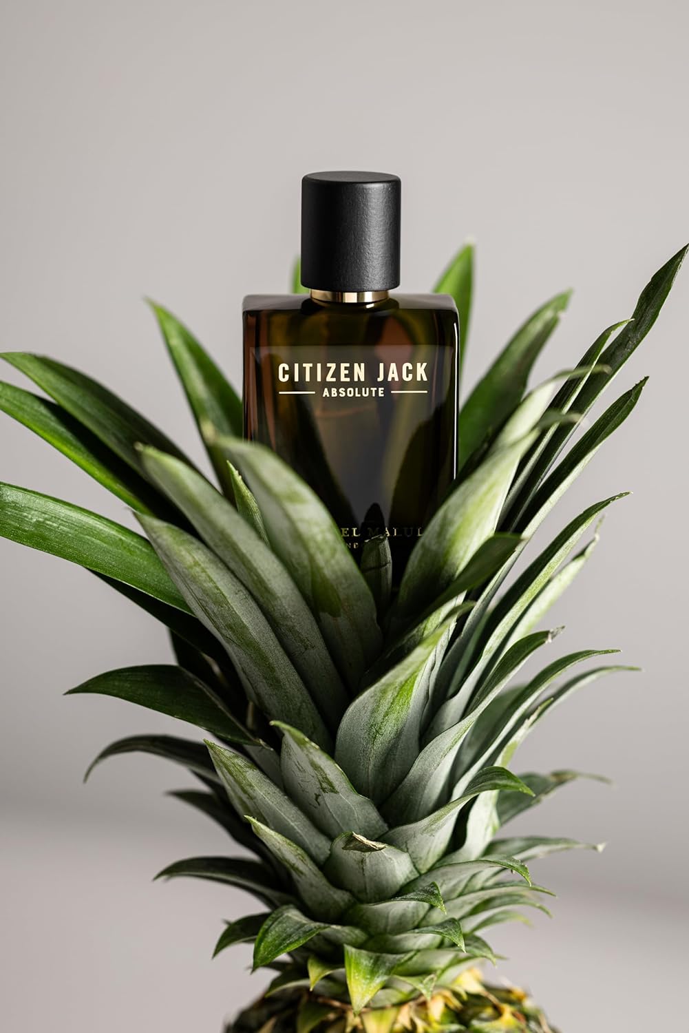 Michael Malul Citizen Jack Absolute Eau de Parfum for Men (3.4 Fl Oz (Pack of 1))