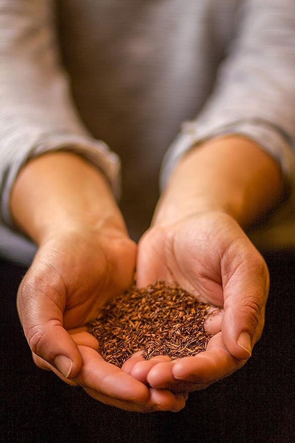 Golden Moon Tea Rooibos Tea - Organic Herbal Tea - Caffeine-Free - Loose, Non-GMO - Travel Tin (30 Servings)