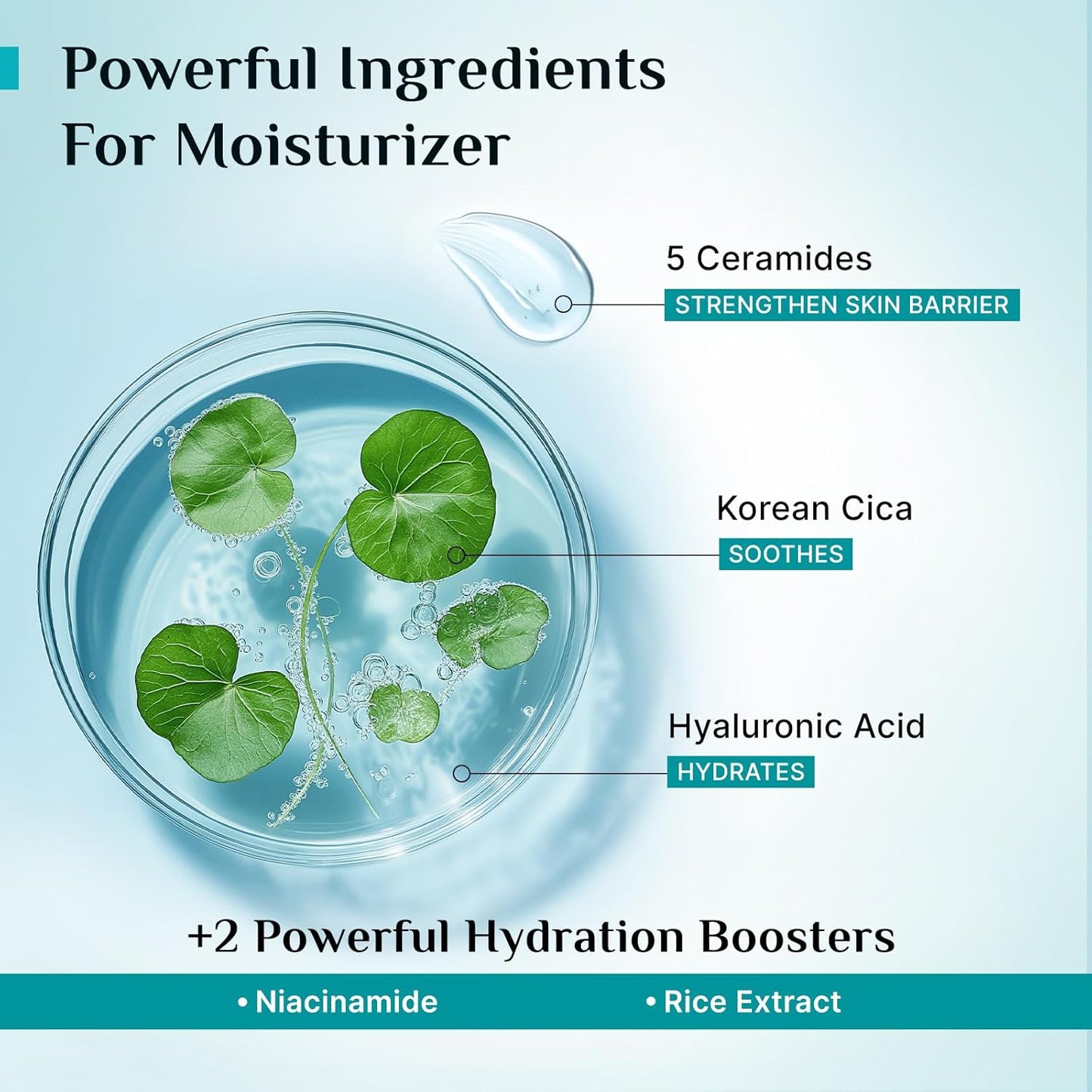 Pilgrim Korean Cica Moisturizer with 5 Ceramides & 2% Niacinamide Glow Gel Sunscreen SPF 50 PA+++ | Hydration, Barrier Strength & Bright Glow | Lightweight & Non-Sticky