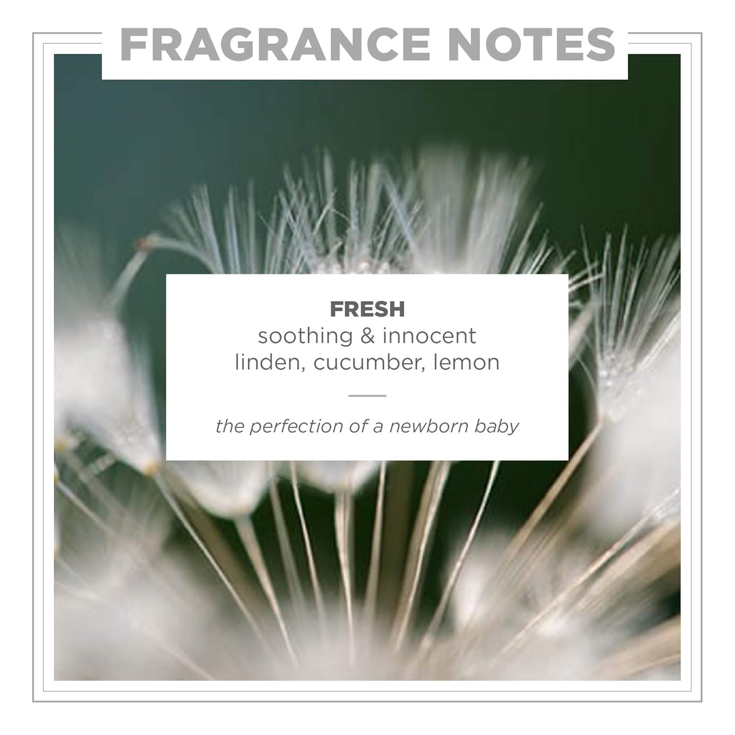 Zents Eau de Parfum (Fresh) for Women & Men | Long-Lasting Clean Fragrance with Linden Blossom, Cucumber & Lemon | Crisp & Refreshing Scent | 1.69 oz