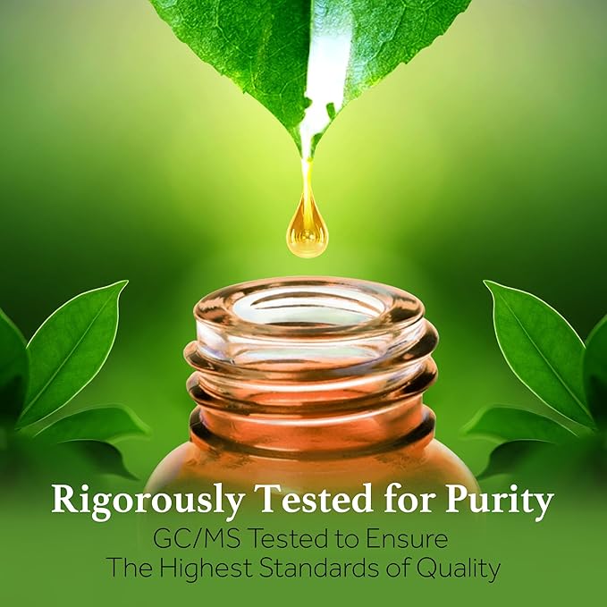 Sherpa Botanicals Eucalyptus Essential Oil - 100% Pure & Natural Oils - Ideal for Aromatherapy, Diffusers, Massage Oil - Energizing Scent - Vegan, Paraben-Free, 15mL