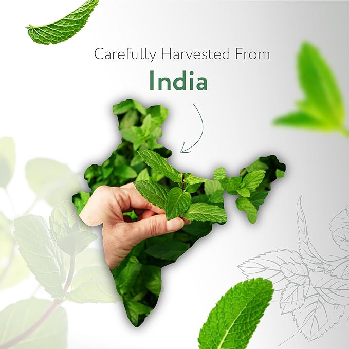 HBNO California Bottled Peppermint Essential Oil 4 fl oz (120ml) - Premium Grade Natural Peppermint Oil for Hair, Skin & Scalp Care - Ideal for Masage, Diffusers & Aromatherapy - with Glass Dropper