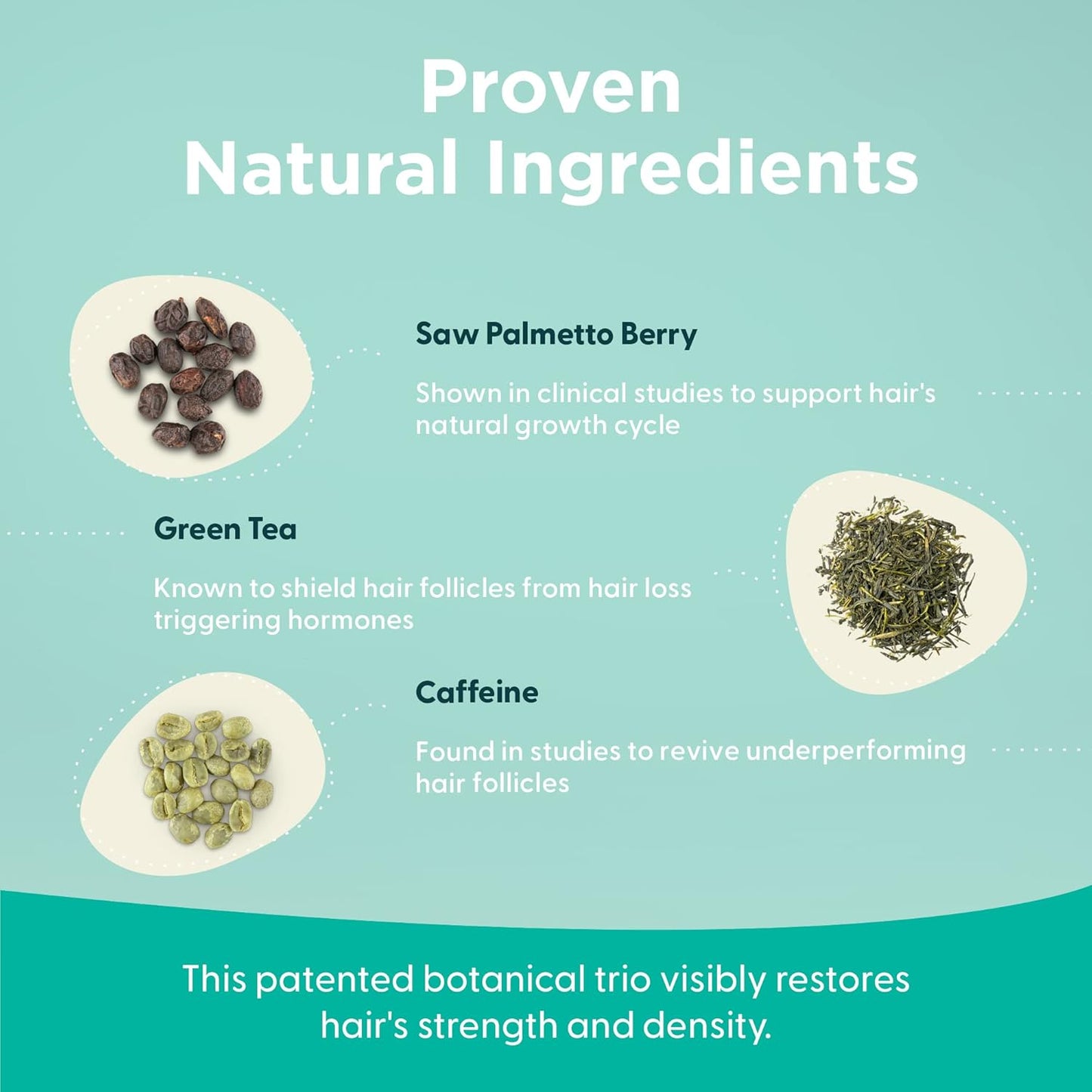 Shapiro MD Hair Growth Experts Hair Loss Leave-in Conditioner, DHT Fighting Vegan Formula for Thinning Hair Developed by Dermatologists, Experience Healthier, Fuller Thicker Hair - 1 Month Supply