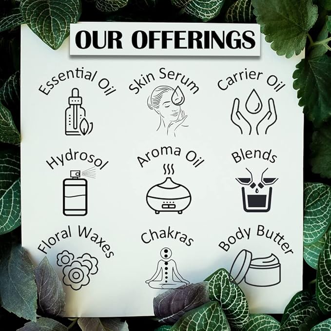 dève herbes Pure Amla Oil (Emblica officinalis) with Glass Dropper Natural Therapeutic Grade 30ml (1 oz)