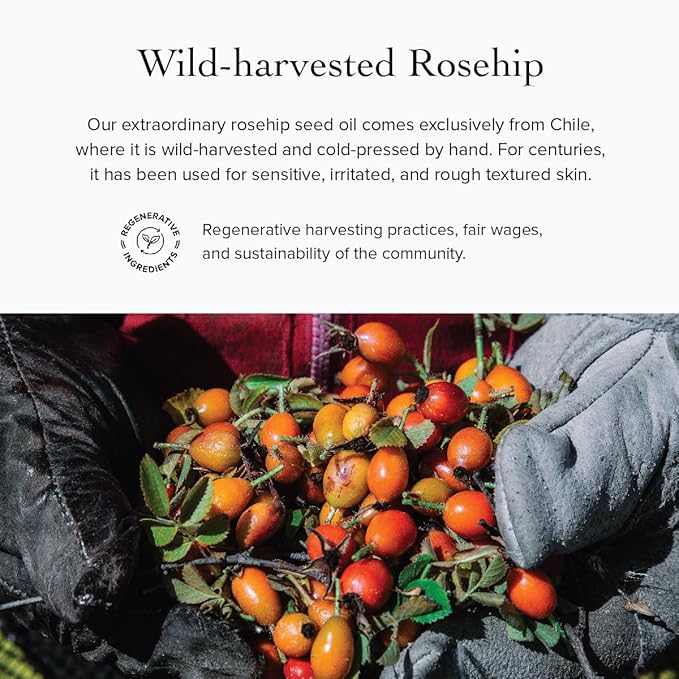 evanhealy Sanctuary Nectar Serum | Organic Essential Oil Free Facial Serum for Sensitive Skin | Topical Multi-Omega for Skin