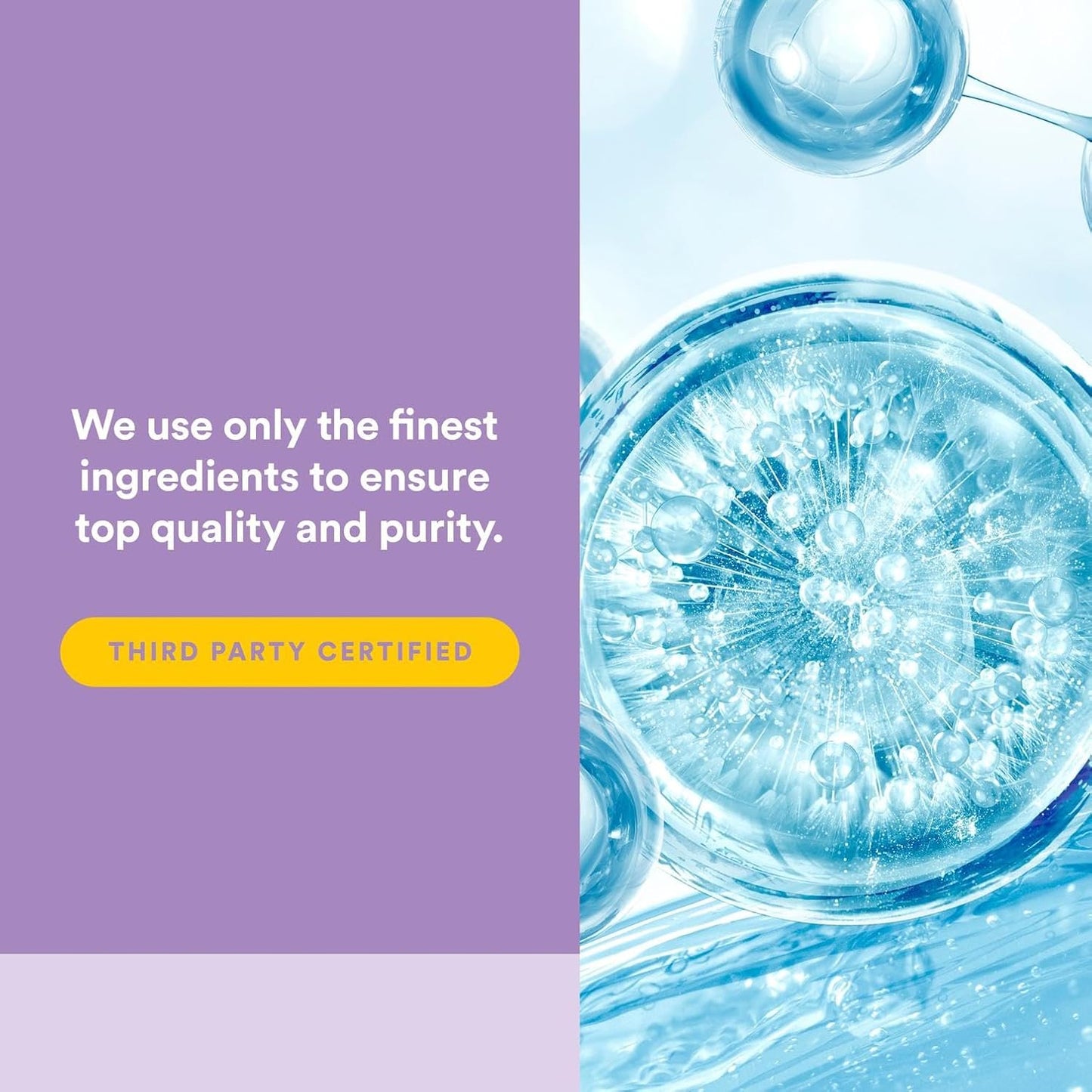 Natural Factors Total Body Collagen - Bioactive Collagen Supplement for Hair & Nail Growth Support - Healthy Skin Supplement with Protein, Vitamin C & More - Unflavored, 500 g (38 Servings)