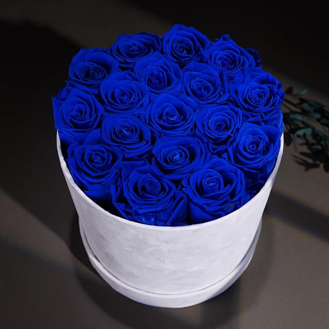 17 Flowers in a Luxury Suede Box, Birthday Gifts for Women, Preserved Flowers, Mothers Day Roses Gift for Mom, Royal Blue