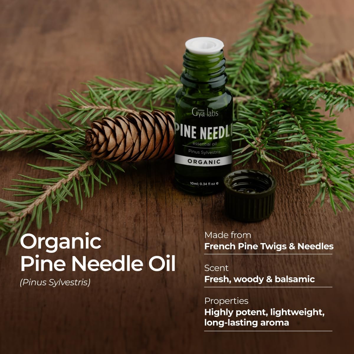 Gya Labs Organic Pine Needle Essential Oil - 0.34 Fl Oz - for Skin, Hair, Diffuser, Aromatherapy, DIY Candle Making Scents