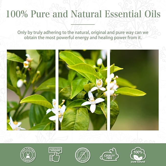 Neroli 1.01fl.oz Essential Oil, PHATOIL Pure Aromatherapy Oils for Diffuser, Humidifier, Perfect for DIY Soap, Candle, Bath Bombs Making(30ml)
