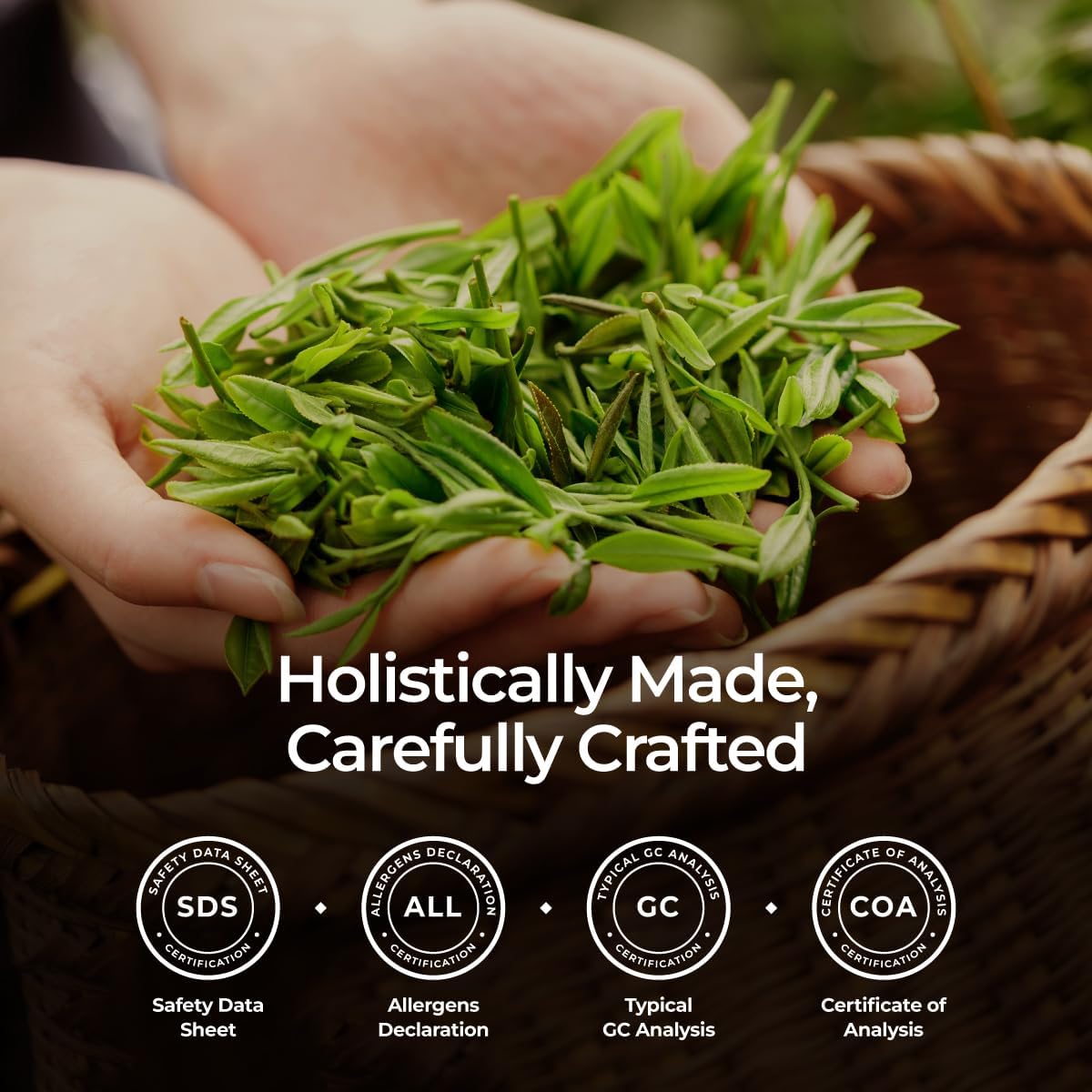 Gya Labs Organic Tea Tree Essential Oil - 0.34 Fl Oz - for Skin, Hair, Diffuser, Aromatherapy, DIY Candle Making Scents