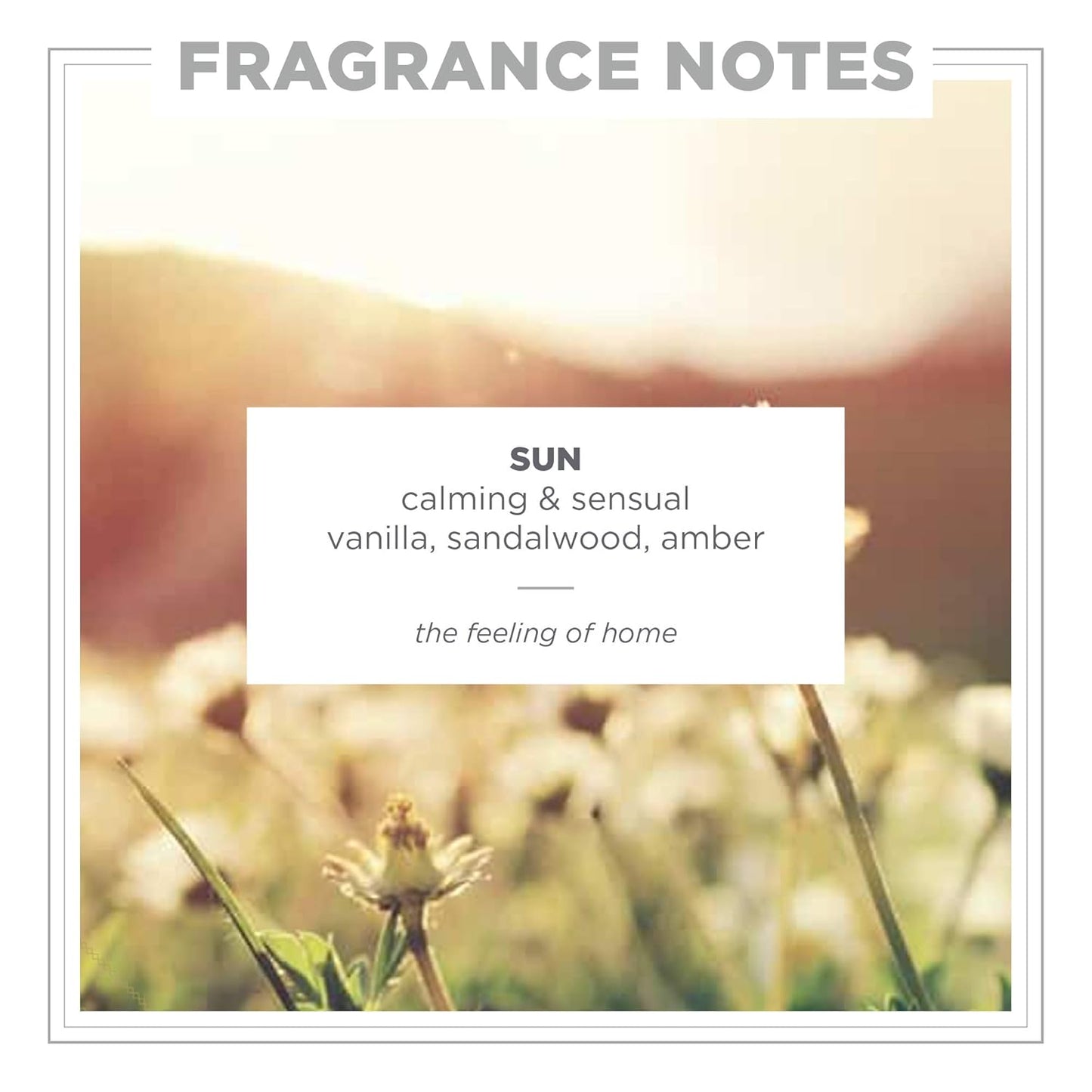 Zents Eau de Parfum (Sun) for Women & Men | Long-Lasting Clean Fragrance with Vanilla, Sandalwood & Vetiver | Warm & Woody Scent | 1.69 oz