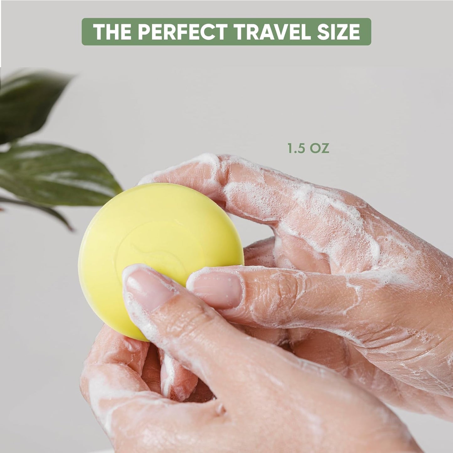 Terra Pure Bar Soap, Travel Size Hotel Amenities, 1.5 oz (Pack of 250)