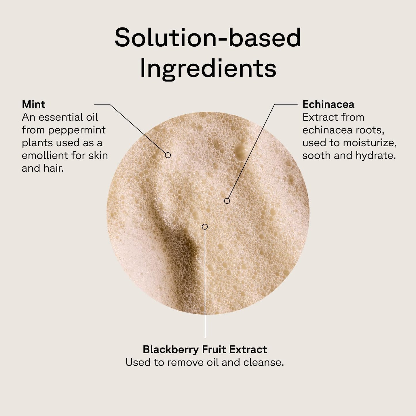 Acure Vivacious Volume Shampoo - Volumizing Shampoo for Fine Thin Hair, Add Body and Thicken Thinning Hair for Women & Men, Scalp Treatment with Mint, Sulfate & Paraben Free, Vegan - 8 fl oz