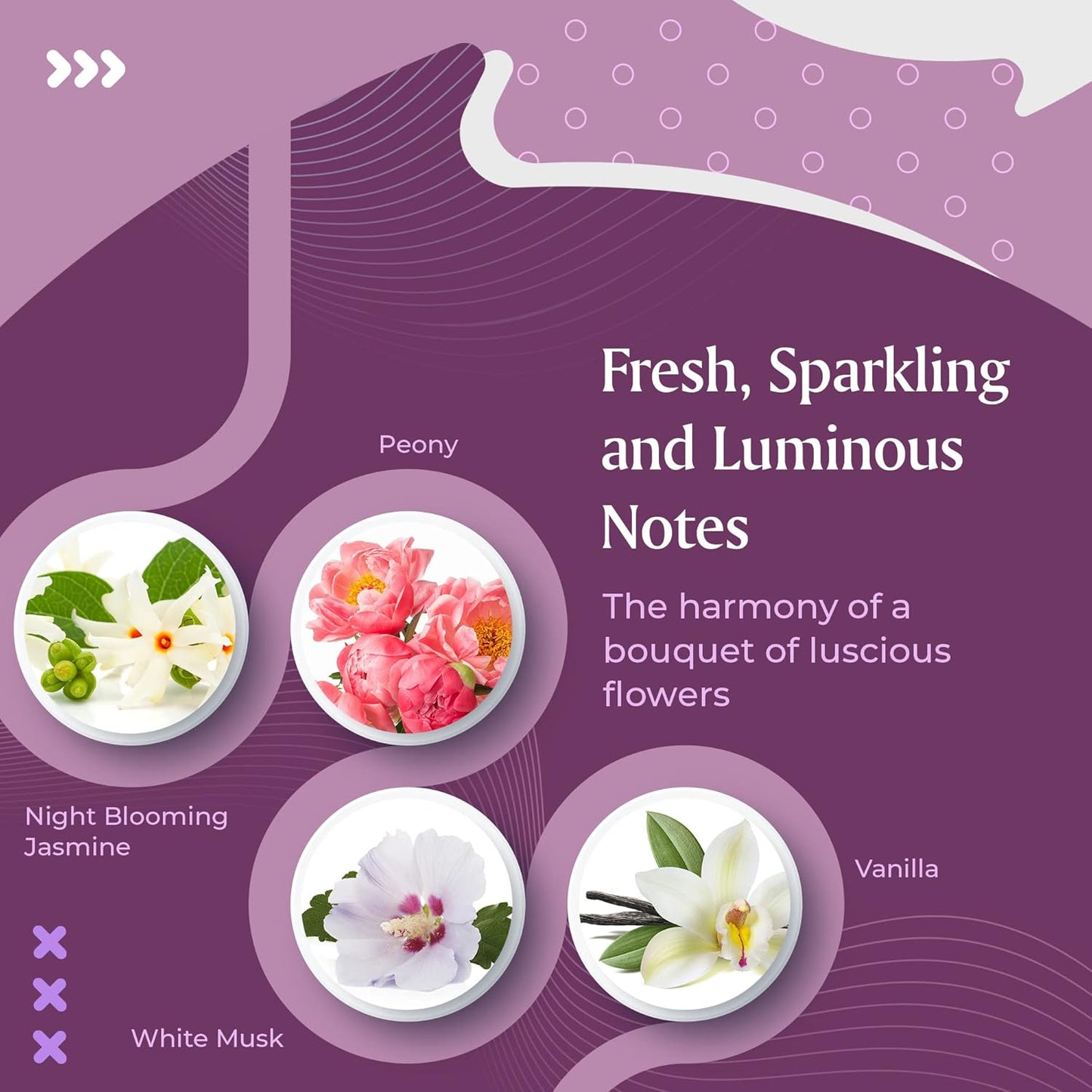 Perfume for Women – INSPIRED by A WORLD RENOWNED WOMEN’S PERFUME – Fruity, Floral, Musk, Sweet – Black Currant, Pomegranate, Night Blooming Jasmine, Peony – Long-lasting 100ml