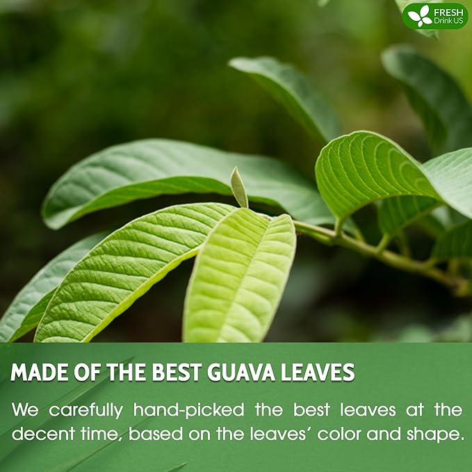FreshDrinkUS, Premium 35 Guava Leaf Tea Bags, 100% Natural & Pure from Guava Leaves. Loose Leaf Guava Herbal Tea. Guava Leaf Tea. No Sugar, No Caffeine, No Gluten, Vegan.