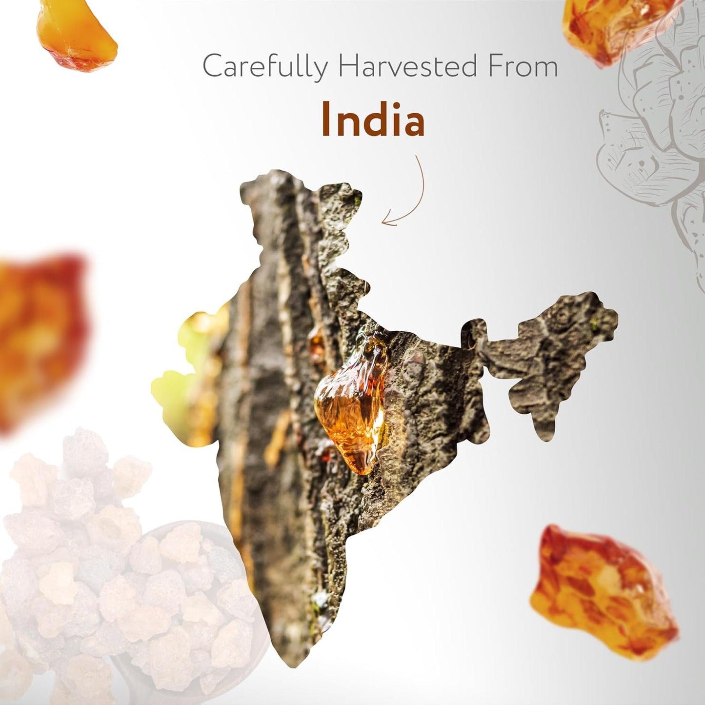 HBNO California Bottled Organic Frankincense Essential Oil 4 fl oz (120ml) - USDA Certified Oil - Organic Frankincense Essential Oil for Skin and Aromtherapy