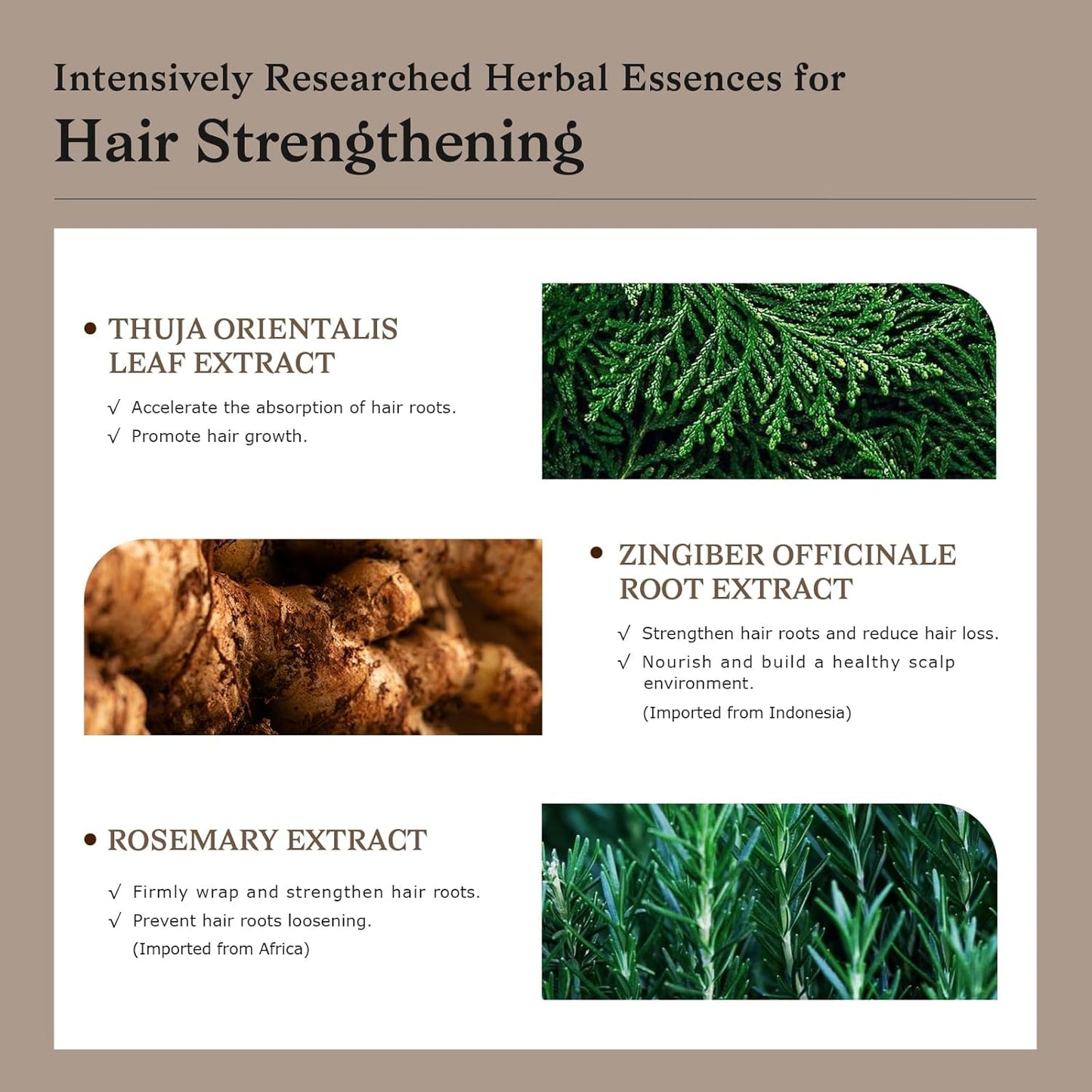 Biotin Ginger Anti-Thinning Shampoo - Helps Stop Loss for Stronger, Thicker, Longer Hair | Scalp-Nourishing, Deep Cleanse and Oil Control 15.2 FL OZ