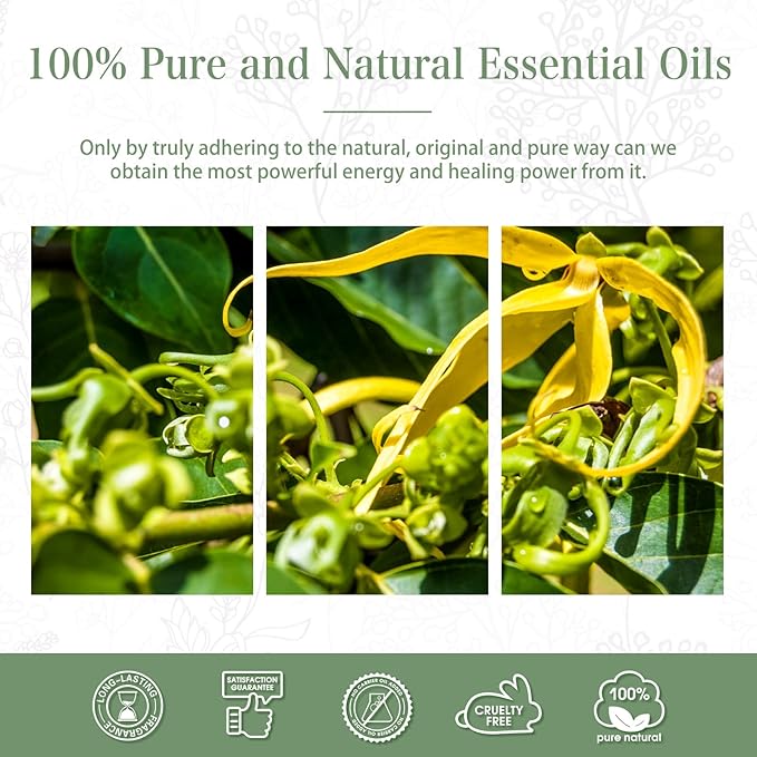 100ML Ylang Ylang Essential Oil, Premium Essential Oils for Diffuser, Humidifier, 3.38fl.oz Scented Oils for Soap, Candle Making