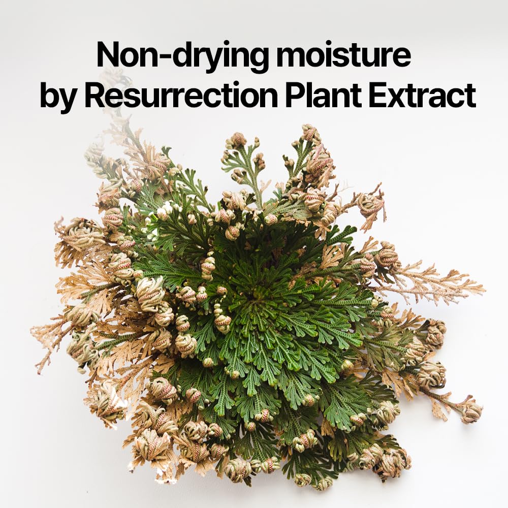 Pyunkang Yul PKY Dancheong Body Lotion, Intensive Moisture, Natural Scents with Essential Oils, Inspired by Fade-Resistant Korean Dancheong, Zero Irritation, Korean Skincare (11.83 Fl. Oz, 350ml)