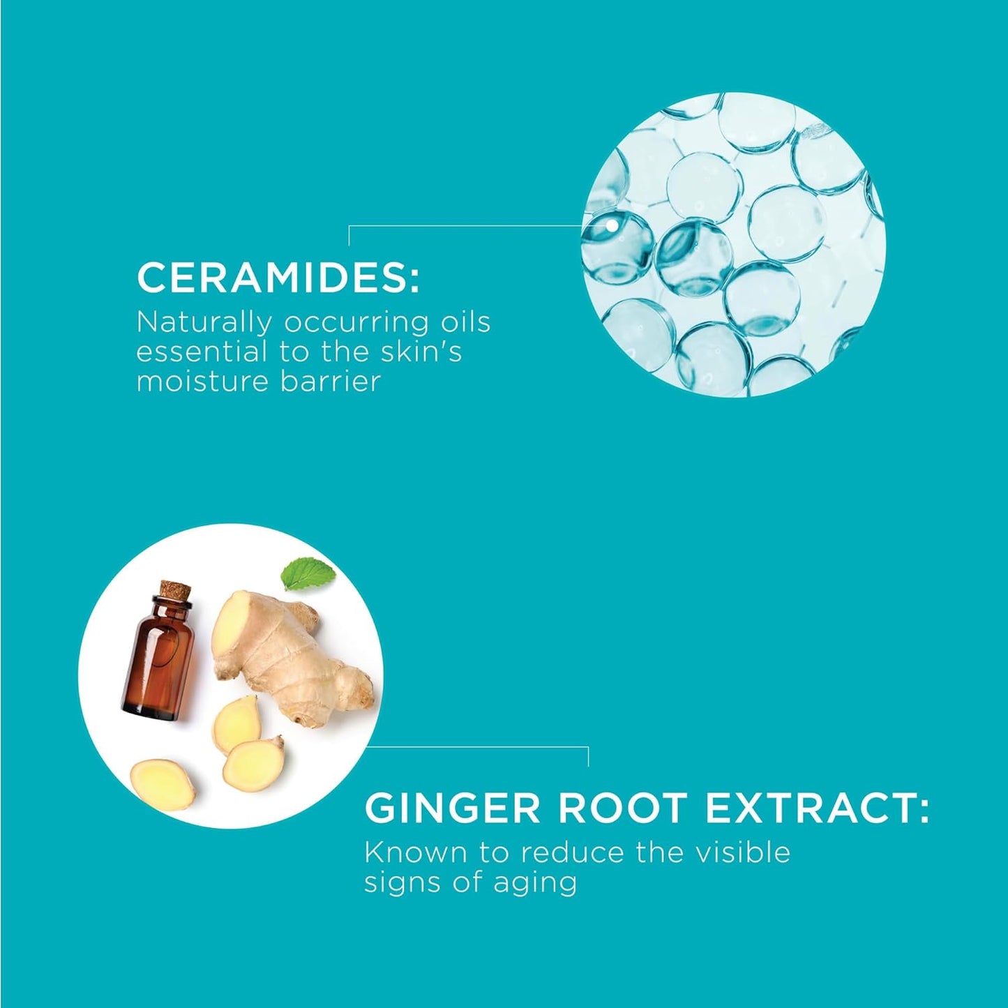 Curel Japanese Skin Care Anti-Wrinkle Hydrating Serum, Daily Serum for Fine Lines and Wrinkles from Dryness with Ceramides, Fragrance Free, pH Balanced, Intensive Moisture for Sensitive Skin, 1.3 Oz