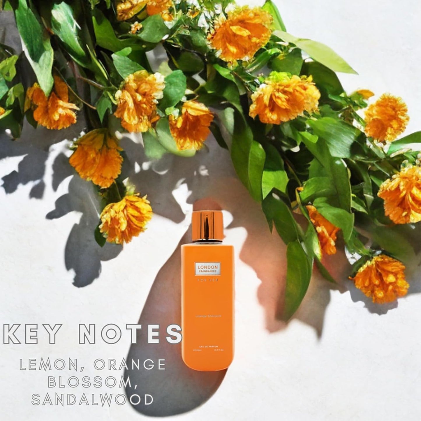 London Fragrances - Orange Blossom - Womens Perfume - Floral, Citrus Fragrances - Eau de Parfum - Musk, Rose Perfume for Women - 3.4 oz