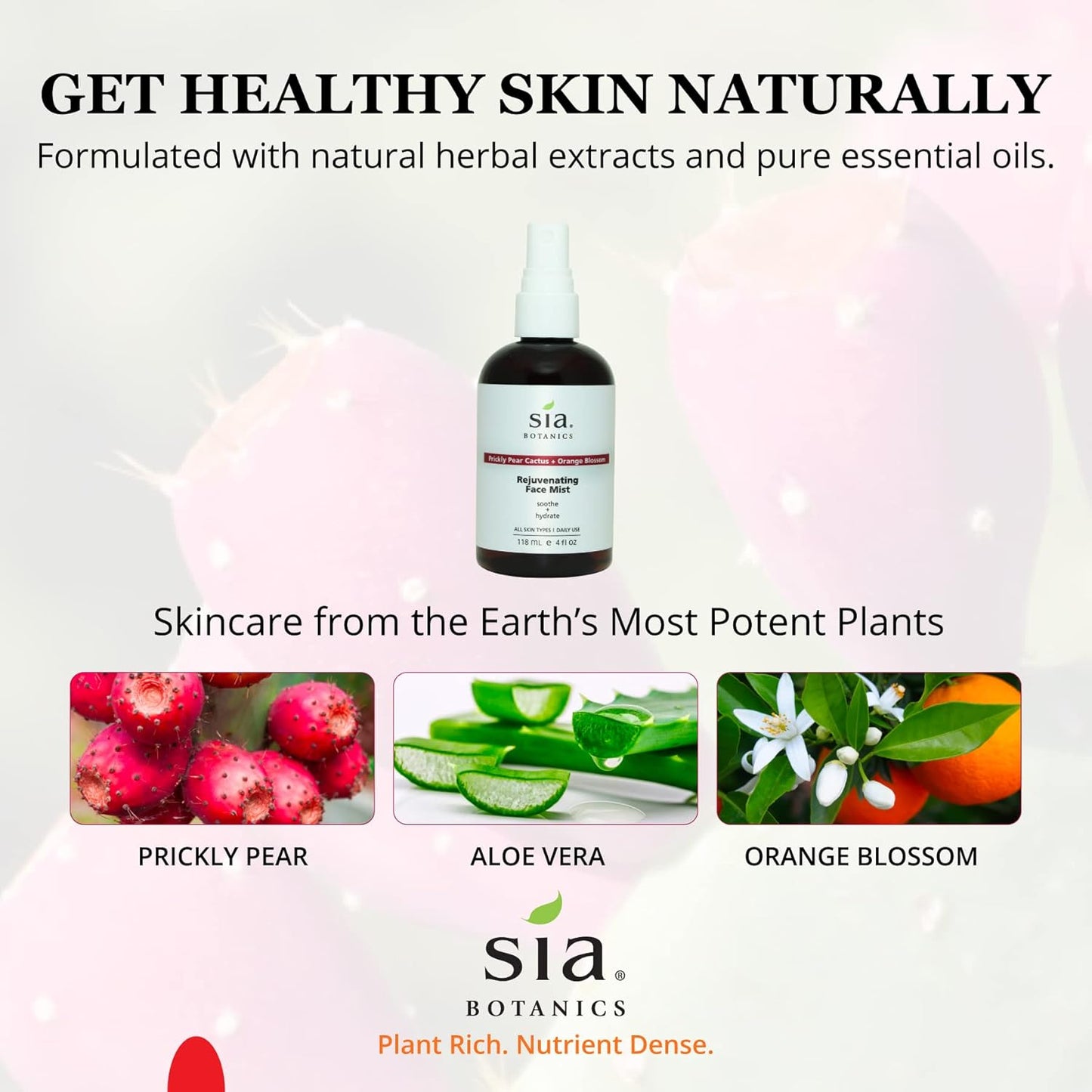 Sia Botanics Rejuvenating Face Toner Mist (118ml/4oz Bottle) | Facial Treatment w/Prickly Pear, Aloe Vera, Orange Blossom | Natural, Clean, Botanical Skincare for Women