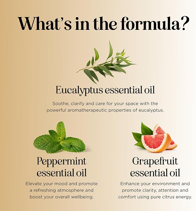 Focus Essential Oil Blend for Diffusers - Citrus and Mint Essential Oils Blend for Energy Focus and Attention Support - Essential Oil for Focus with Aromatherapy Oils for Diffusers and Humidifiers