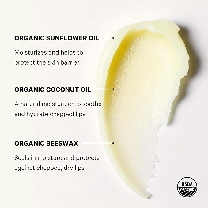 Space Camp Wellness Jumbo Lip Balm - Originals Pack Variety Flavored Balm (Wild Cherry, Juicy Watermelon, and Frosted Mint) - 3 Pack