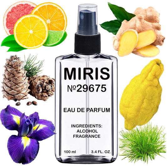 MIRIS No. 29675, Inspired by Di Homme Sport 2012, Long-Lasting Eau de Parfum for Men, Spray 3.4 Fl Oz / 100 ml