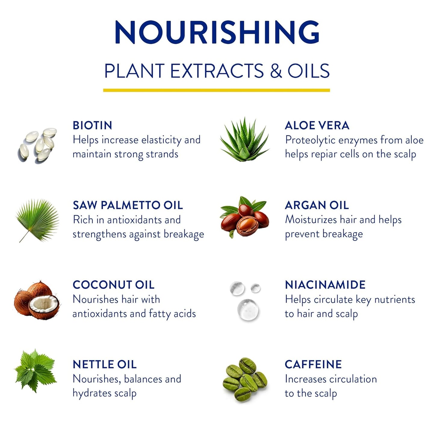 Routine Wellness Anti-Thinning Deep Conditioner for Thinning Hair - DHT Blocker for Hair Loss in Men & Women - Promotes Healthy Hair - Orchid & Apricot 14oz