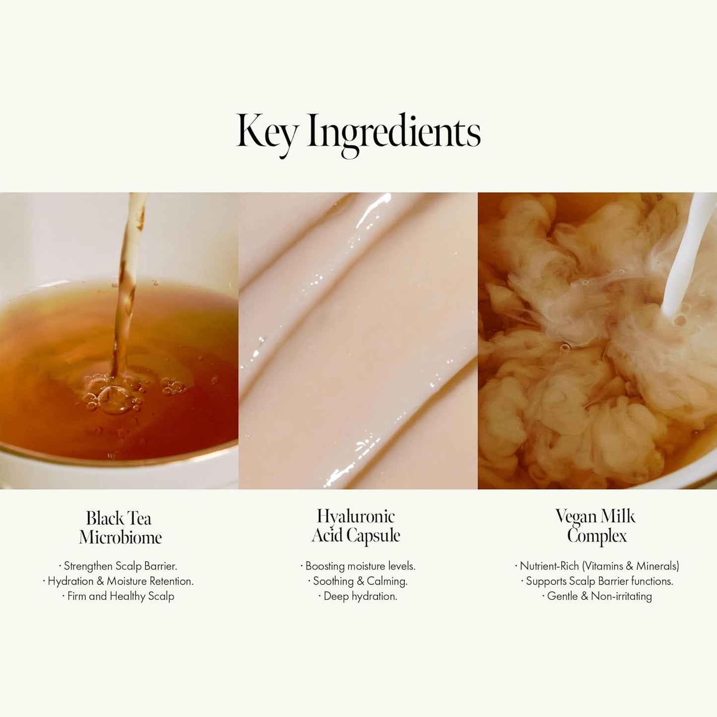 Vegan Nourishing Scalp Shampoo with Black Tea, Hyaluronic & Amino Acids to Strengthen Scalp Barrier, Creamy Woody Scent, Paraben, Sulfate & Silicone Free 450ml / 15.22 fl. Oz