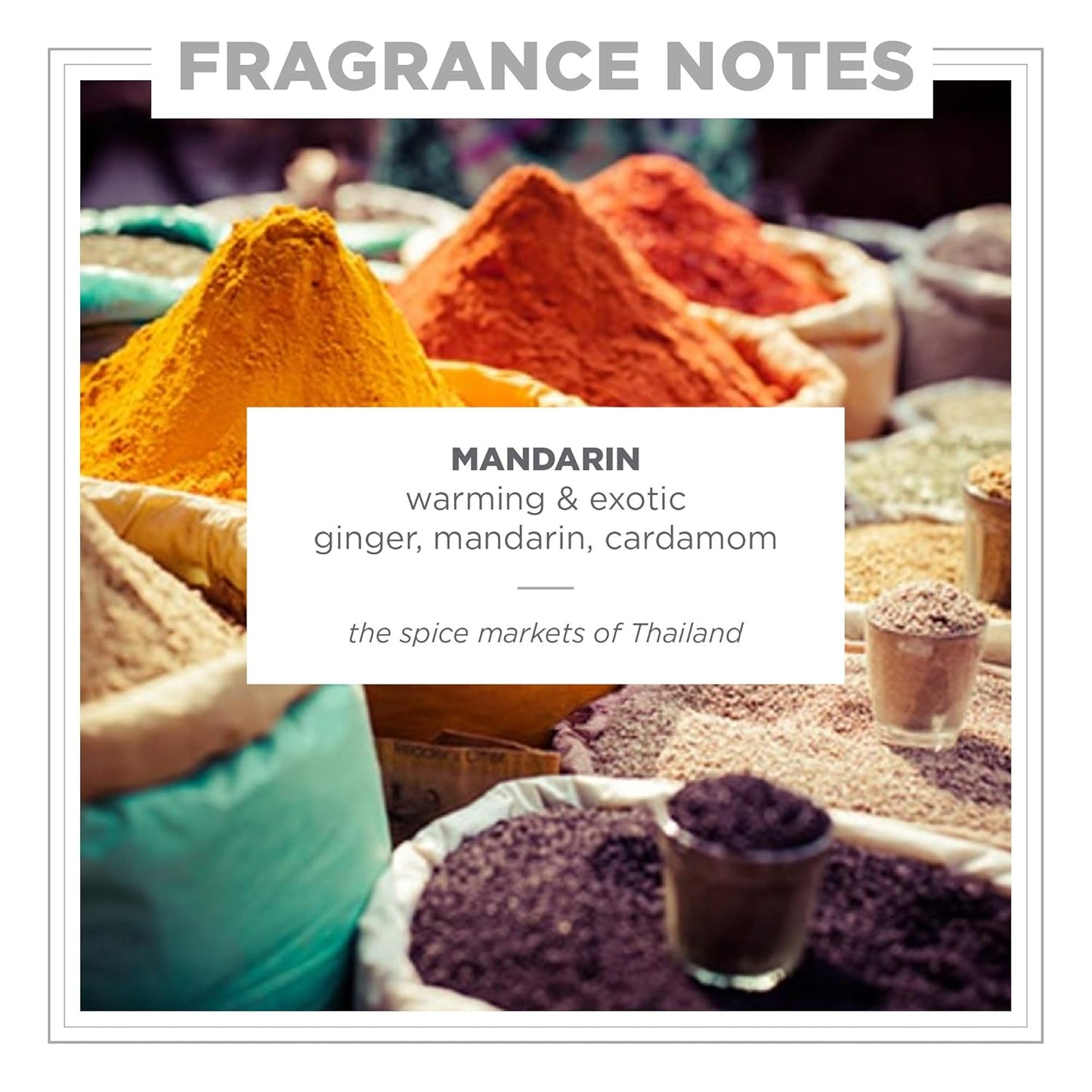 Zents Eau de Parfum (Mandarin) for Women & Men | Long-Lasting Clean Fragrance with Ginger, Mandarin & Cardamom | Citrusy & Spicy Scent | 1.69 oz