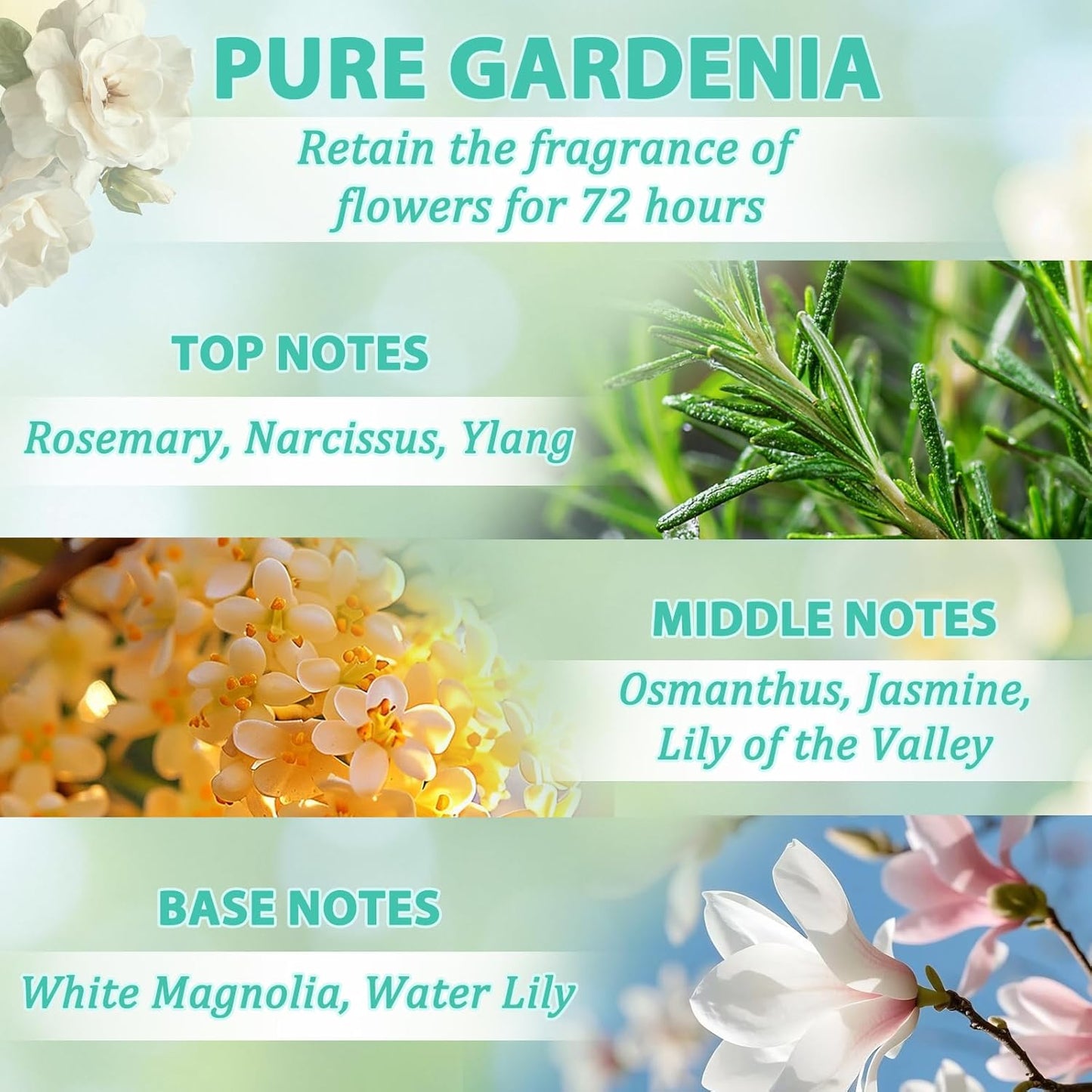 Hair Oil Spray-TgideasLeave-In Conditioner with Golden Pine and Bergamot Oils - Rosemary Hair Oil Spray - For Dry, Curly, Frizzy Hair - Styles, Moisturizes, Repairs Scalp and Hair - For Men and Women