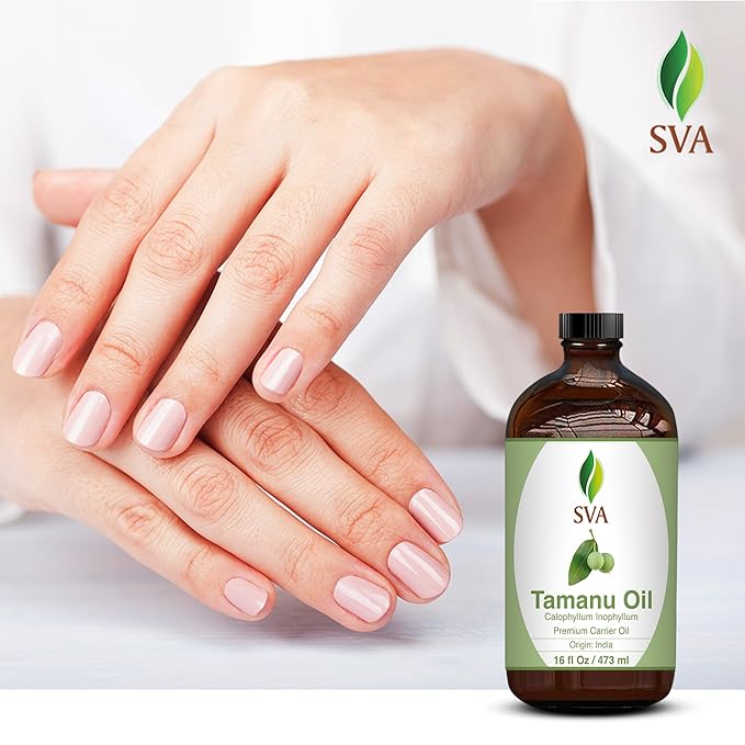SVA Tamanu Seed Oil - 16 Fl Oz – 100% Natural Cold Pressed Tamanu Oil - for Face, Skin Care, Hair Care, Scalp Massage & Body Massage – Carrier Oil