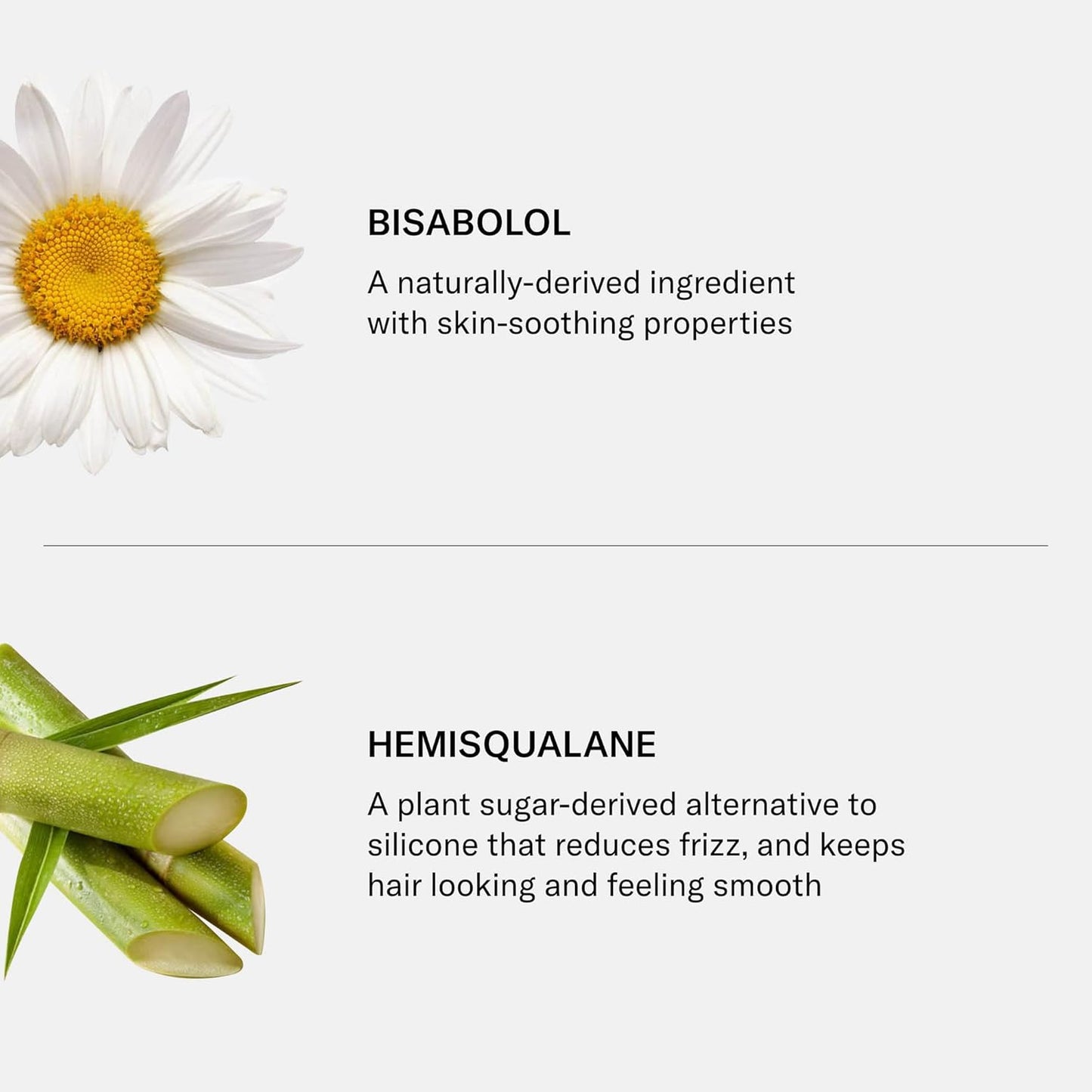 SEEN Deeper Conditioner - Scented - Non-Comedogenic & Hair Conditioner- Dermatologist-Developed - Safe for Sensitive & Acne Prone Skin