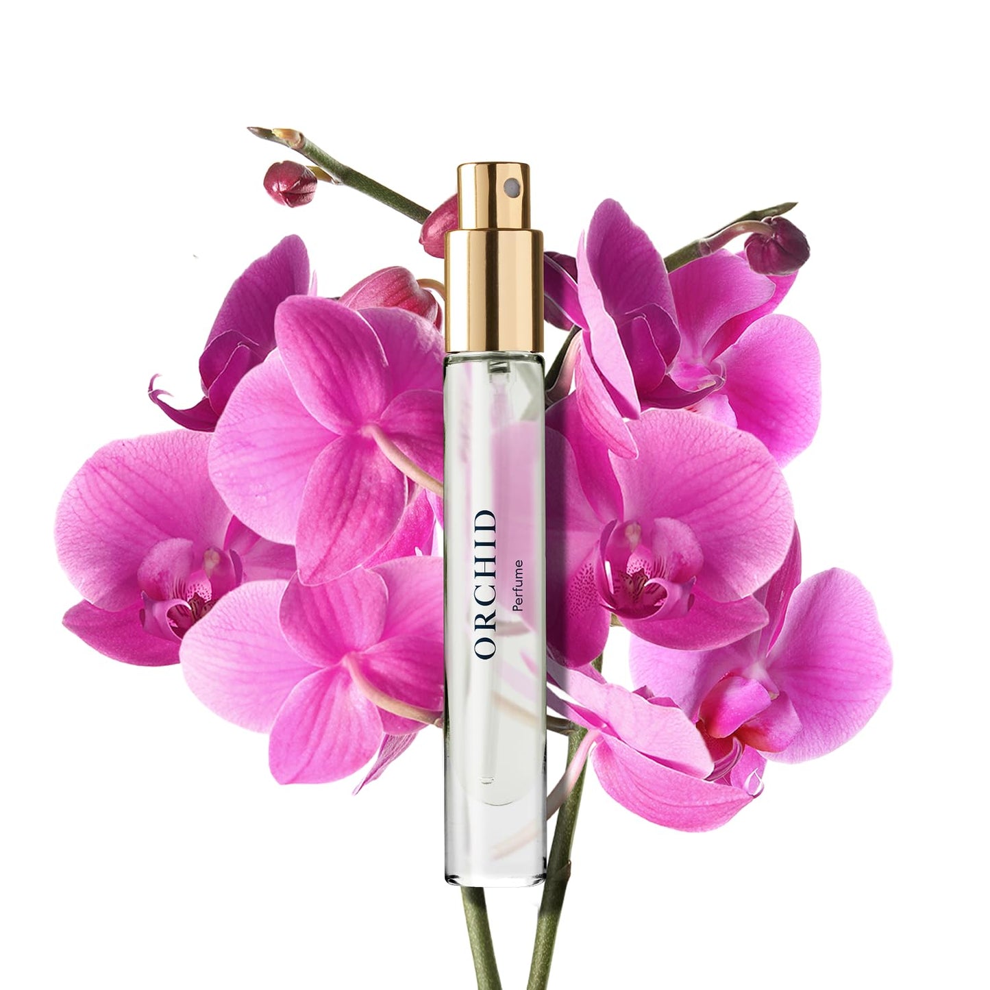 Caswell-Massey Orchid Perfume Spray, Classic Floral Scent for Women with Pear, Vanilla & Bergamot, Made in USA, 0.25 Oz