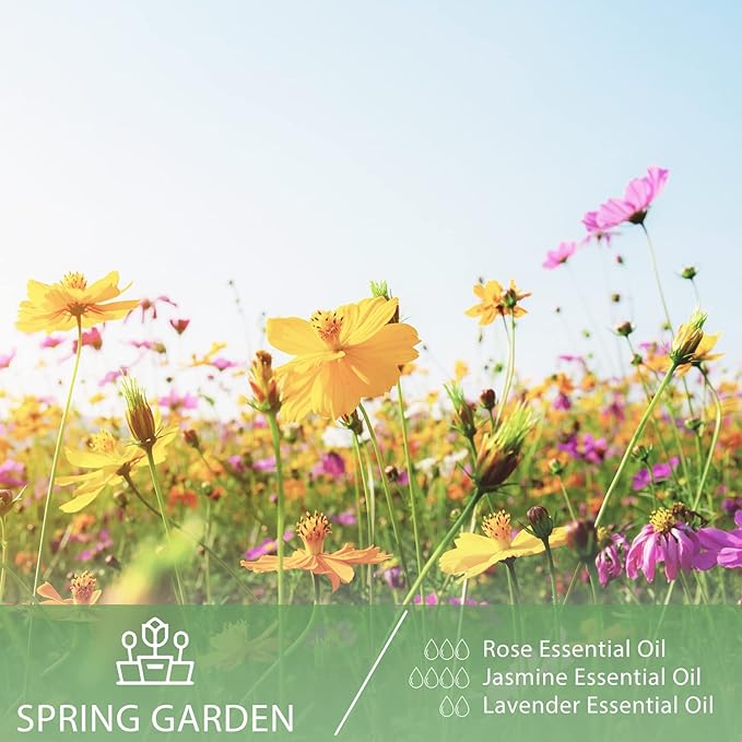 Rose Essential Oil, 1.01Fl.Oz (30ML) PHATOIL Pure Essential Oil Singles for Aromatherapy Diffusers, Humidifiers, Great for DIY Candle and Soap Making, Gift for Friend